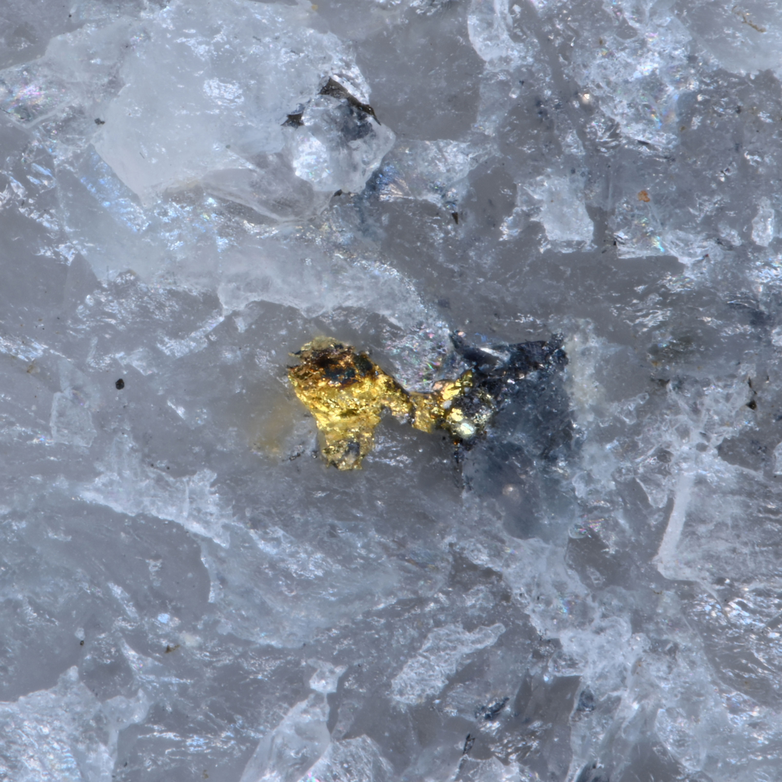 Gold, Mine de Cros Gallet, La Bourneix, Le Chalard, Haute-Vienne, Frankreich