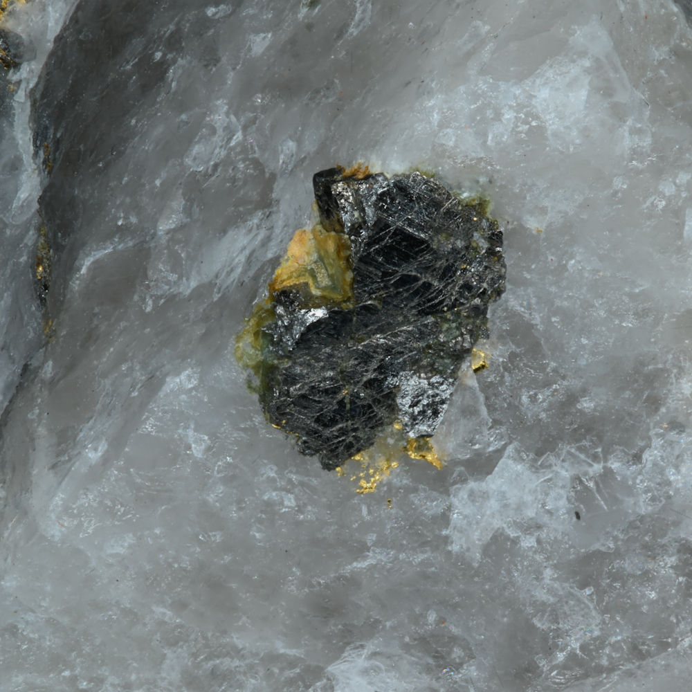 Gold & Arsenopyrit- Port Hilford, Nova Scotia, Kanada