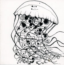 jelly001.jpg