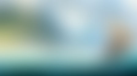 Disney Reveals Their Newest Princess Movie