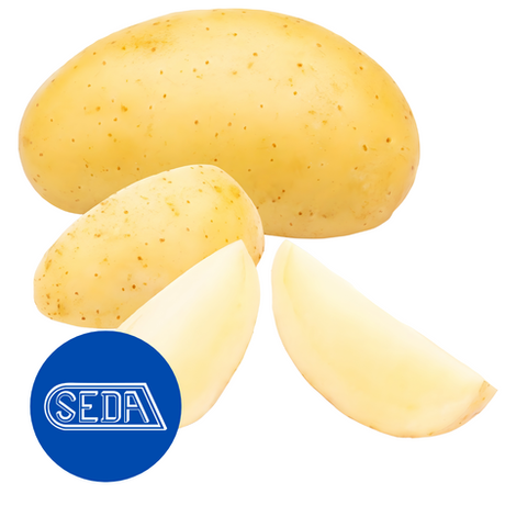 Pneumatische Schneidemaschine S191 (PGW) von SEDA: Segmente