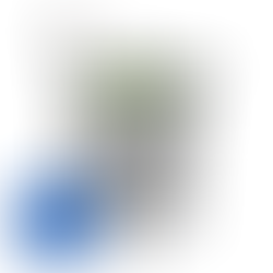 Frische garantiert: Die Salatschleuder S112