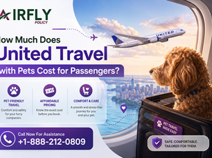 How Much Does United Travel with Pets Cost for Passengers?