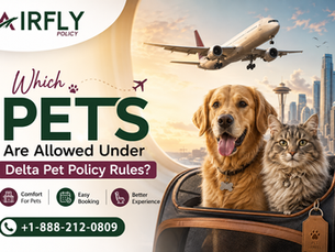 Which Pets Are Allowed Under Delta Pet Policy Rules?