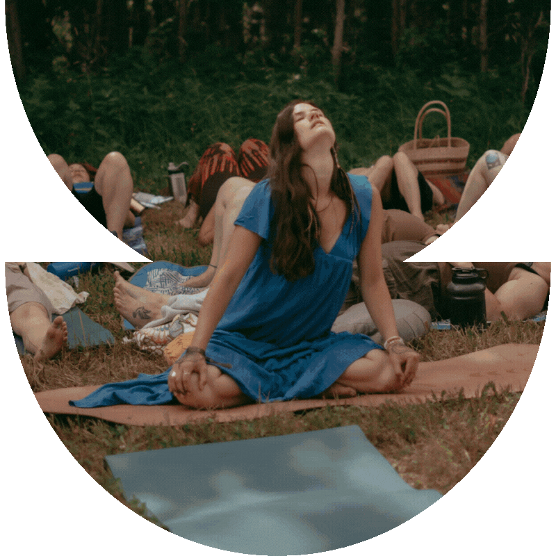 Wild Roses Festival GIF (1).gif