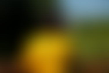 Observação da natureza.