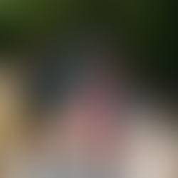 Participantes do Clube de Observadores da Natureza caminhando pela Trilha do Guaiamum no Parque Costeiro