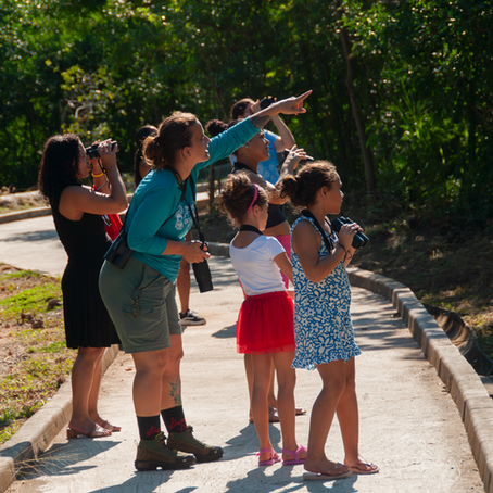 Participantes do Clube de Observadores da Natureza caminhando pela Trilha do Guaiamum no Parque Costeiro