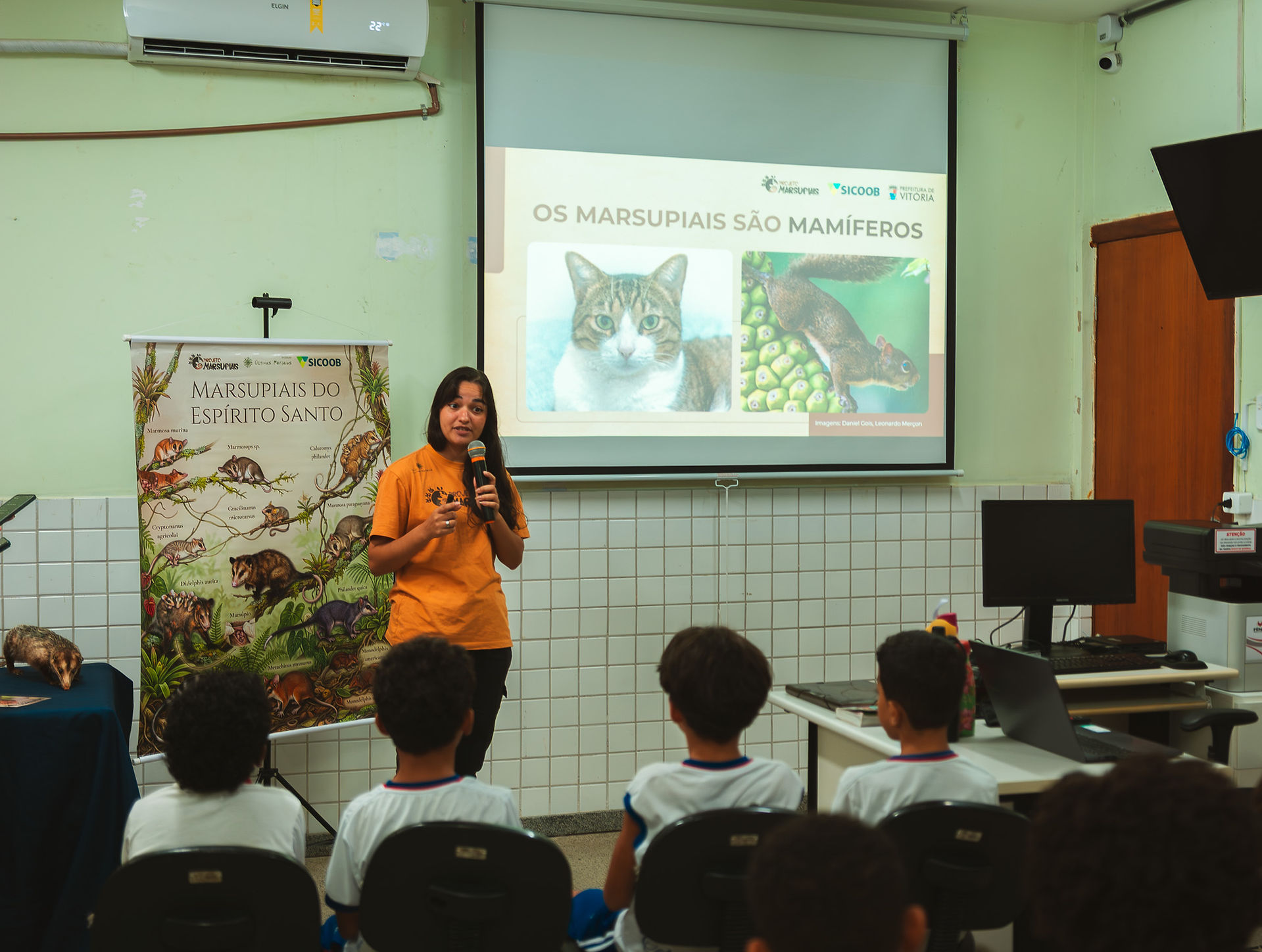 Ação Projeto Marsupiais.