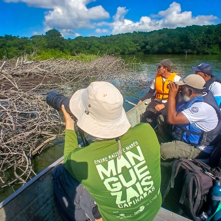 Equipe do projeto Entre Raízes e Marés durante visita técnica aos manguezais do município de Serra, Espírito Santo