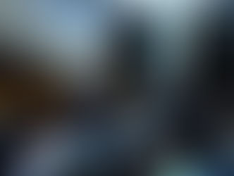 Bióloga Caroline Reis apresentando palestra sobre o documentário Águas do Itapemirim no auditório da Assembleia Legislativa do ES