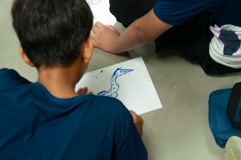 Produção de desenho inspirado nas espécies observadas durante a atividade.