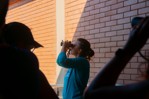 Observação da natureza.