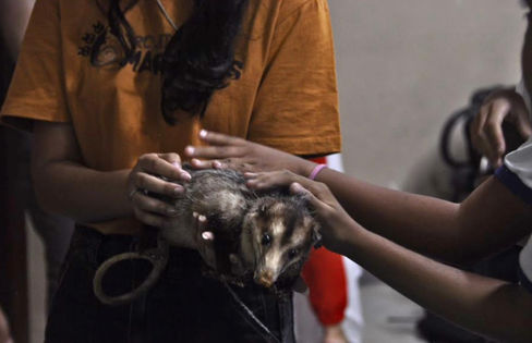 Educadores conduzindo atividade sobre marsupiais com alunos