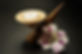 WhatsApp Image 2020-05-19 at 21.25.44.jp