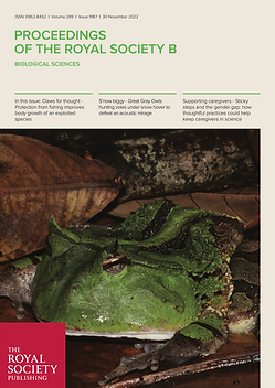 Screenshot 2024-05-12 at 1.08.39 PM.png