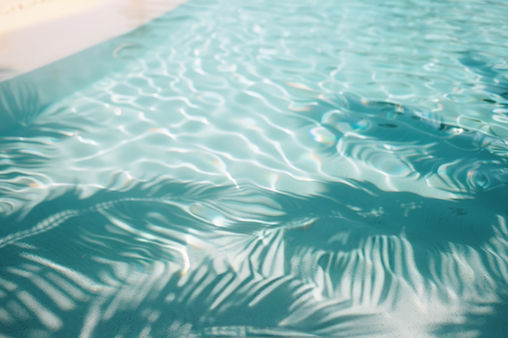 vecteezy_palm-tree-shadow-on-pool-water_48587597.jpeg