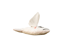 20180809-3981_edited.png