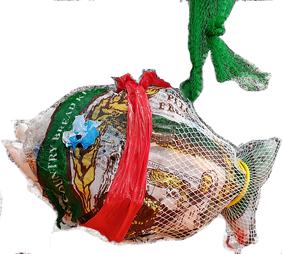 1stuffed fish.png
