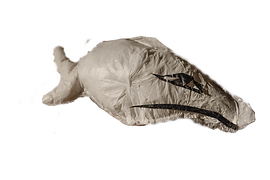 _DSC8156_edited.png