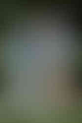 A young father holding a baby while the mother talks to him and a red Labrador dog sits expectantly at their feet on an outdoor family photoshoot in Horsham