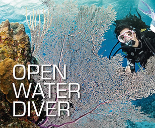 Open Water Diver.jpg