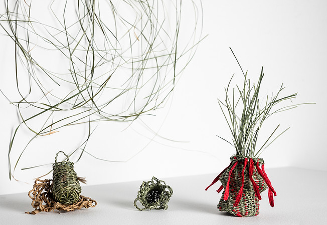 Image 8_Jody Rallah, Campfire Dreaming, 2019, Andrew Willis.jpg