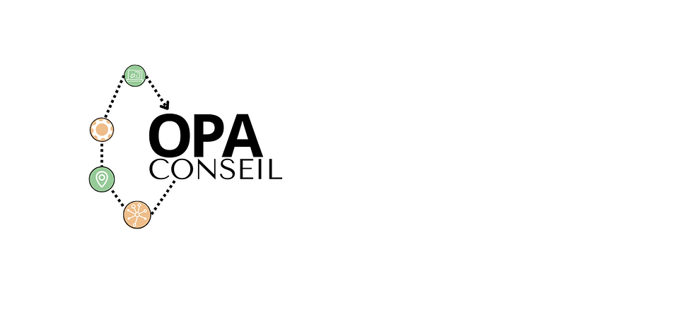 Copie de LOGO OPA CONSEIL (1100 x 500 px).png