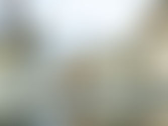 <strong>CORSA AL QUIRINALE</strong>