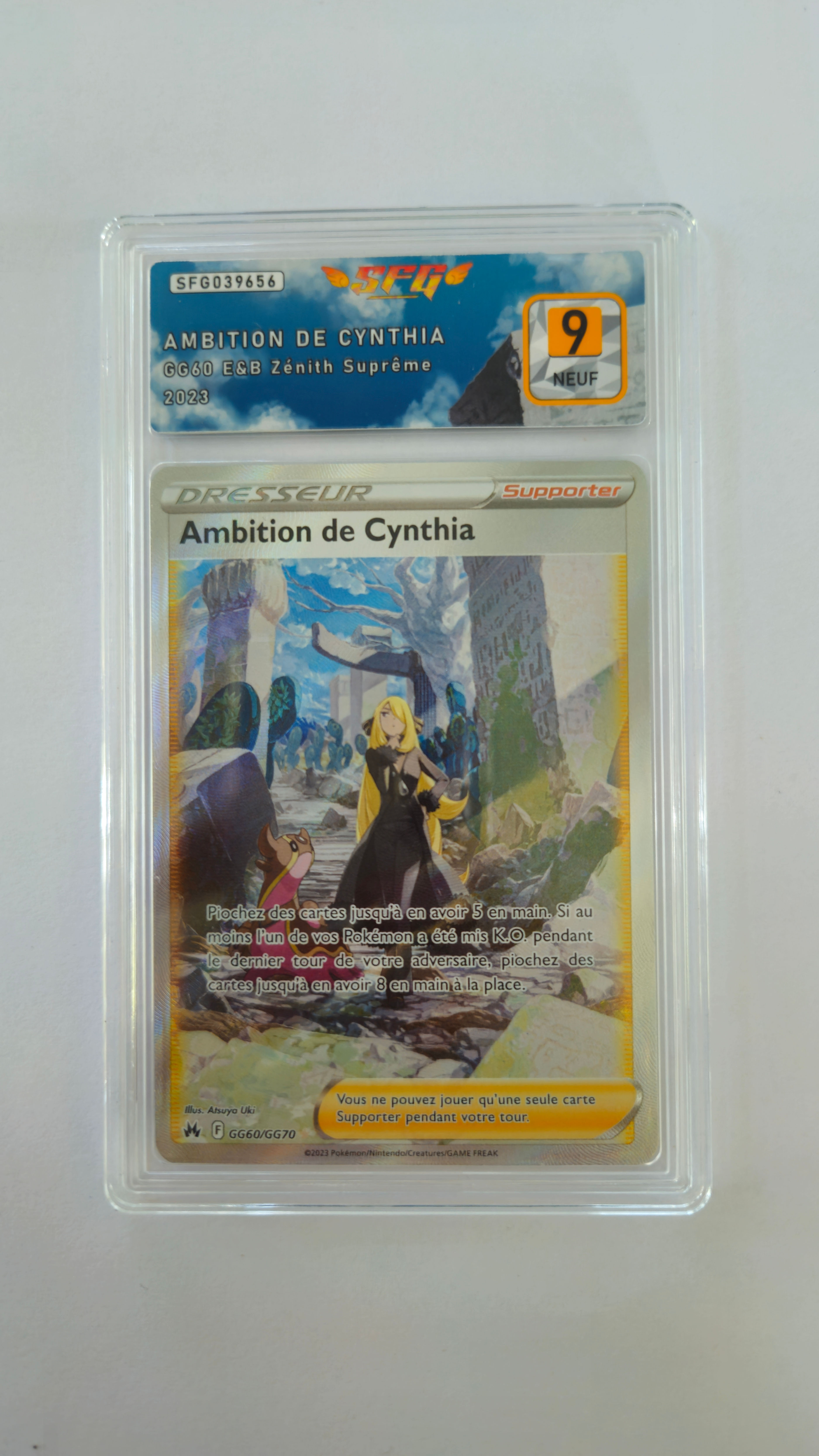 Ambition de Cynthia (CRZ GG60) - Gradée 9 SFG Grading