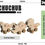 Miniatura: Juego de Dinosaurios de Madera, Planos de Juguetes de Madera, Descarga PDF + SVG