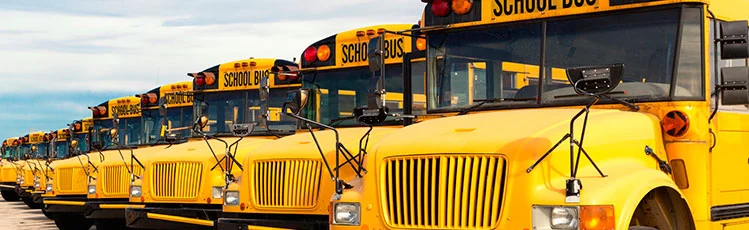 parked-buses-crop.webp