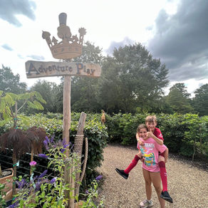 Adventure Play- Windsor Great Park.