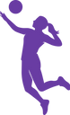 ICON 1_edited.png