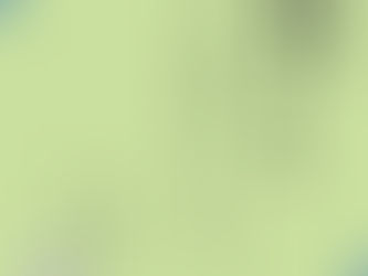 コロナ収束祈願 柴燈護摩の茶会