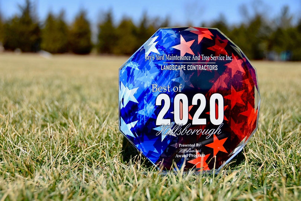 An award that looks like the top of a diamond displays blue and red stars in it. It reads "Jay's yard Maintenance and Tree Services Inc. Landscape Contractors. Best of 2020 Hillsborough. Presented By Hillsborough award program."