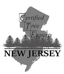 NJtreeexpert.jpeg