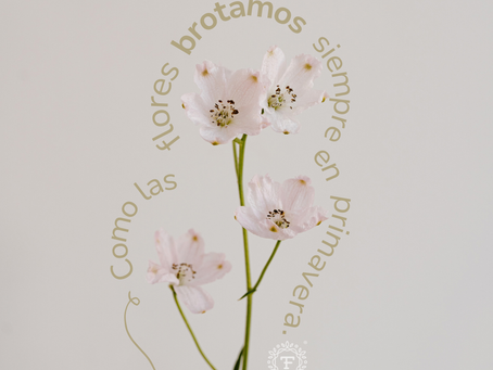 Regresar a lo Natural