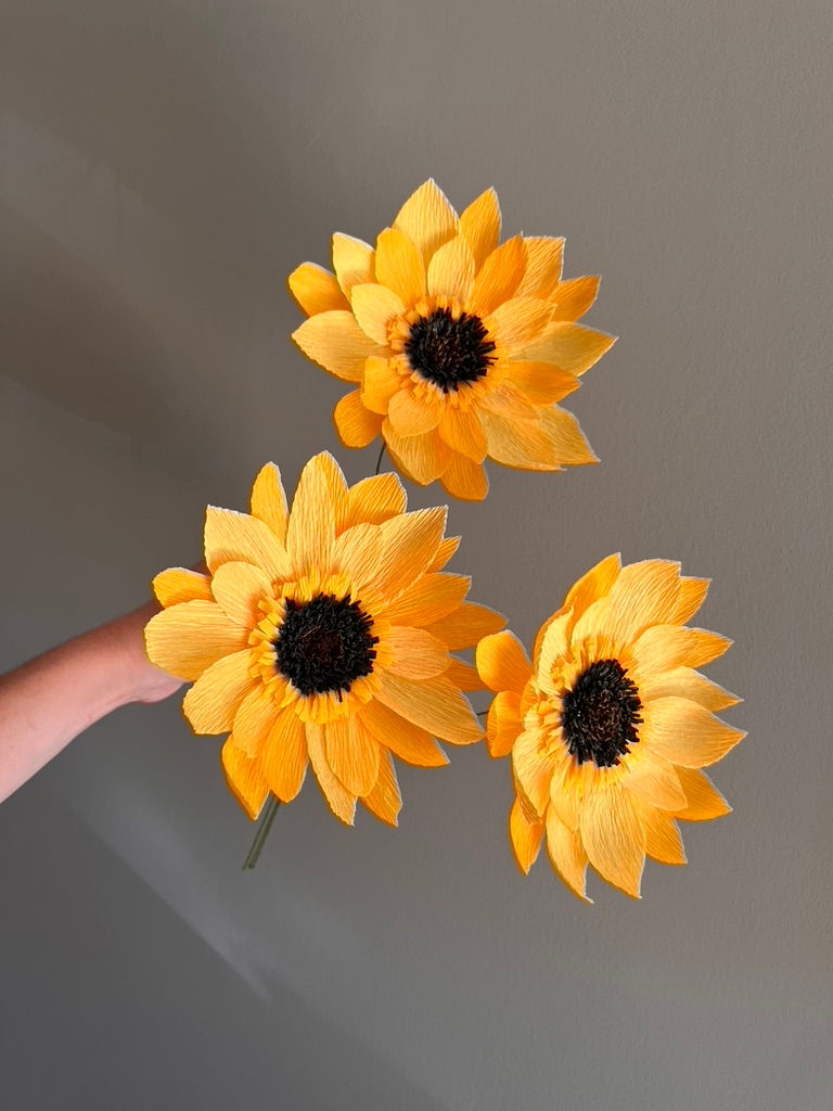 Miniatura: Girasole