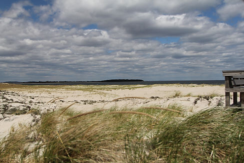 beach grass and ocean.jpg