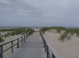 Cranes boardwalk.jpg