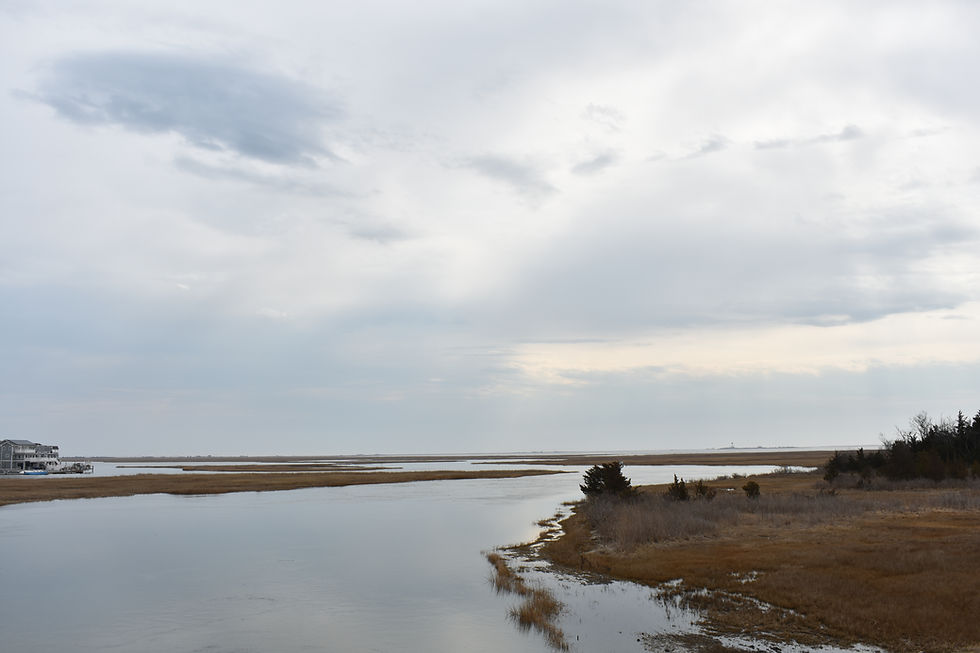DSC_0597.JPG