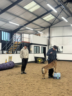 68d87c28-7b07-48c2-bd09-4852bd55f603