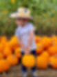Smith Family Farm - Business Photo