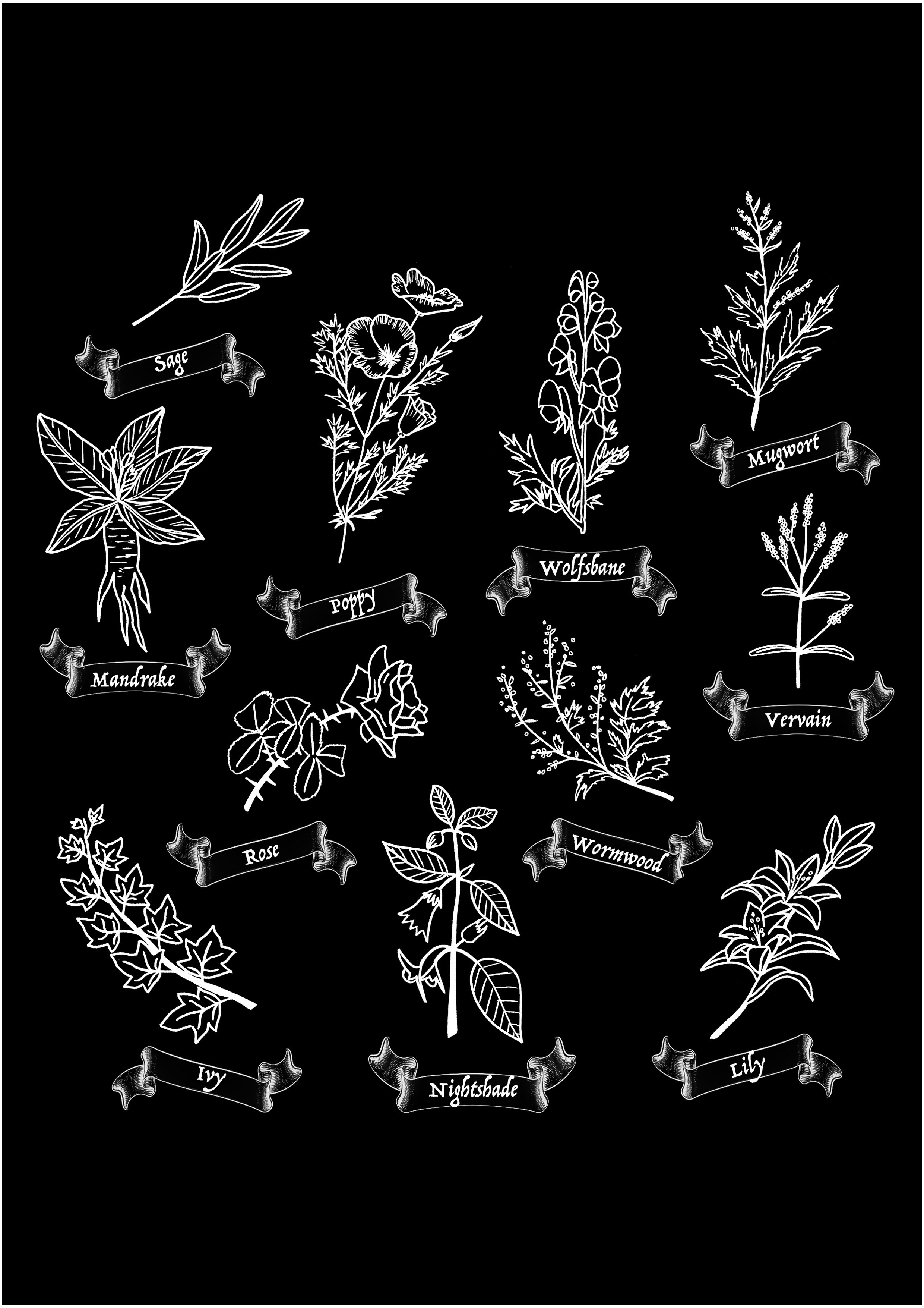 Hortisubculture A4 Print (Digital)