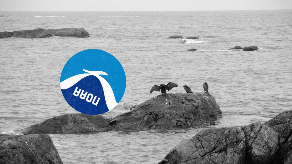 An upside down NOAA logo next to seagulls on the shore of Newport, Rhode Island.