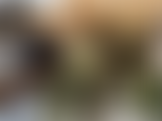 【花材販売】26.01-03 かわきばな®BOX