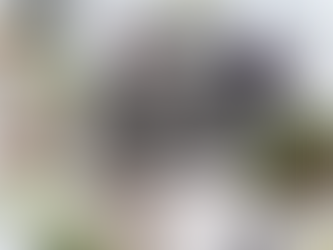 【募集終了】【通年レッスン】2026.01-12 Hana Tutumi OriginalPrivate Lesson(3年目以降のレッスン)