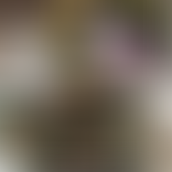 【フラワーショップ・対面レッスン@稲毛】5月開催 Hana Tutumi Lesson @grissouris_atelier_espace