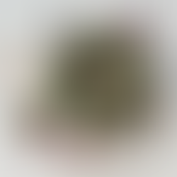 【募集終了】25.12 Hana Tutumi Wreath of Seasons (リース制作キット　初心者向け/経験者向け)